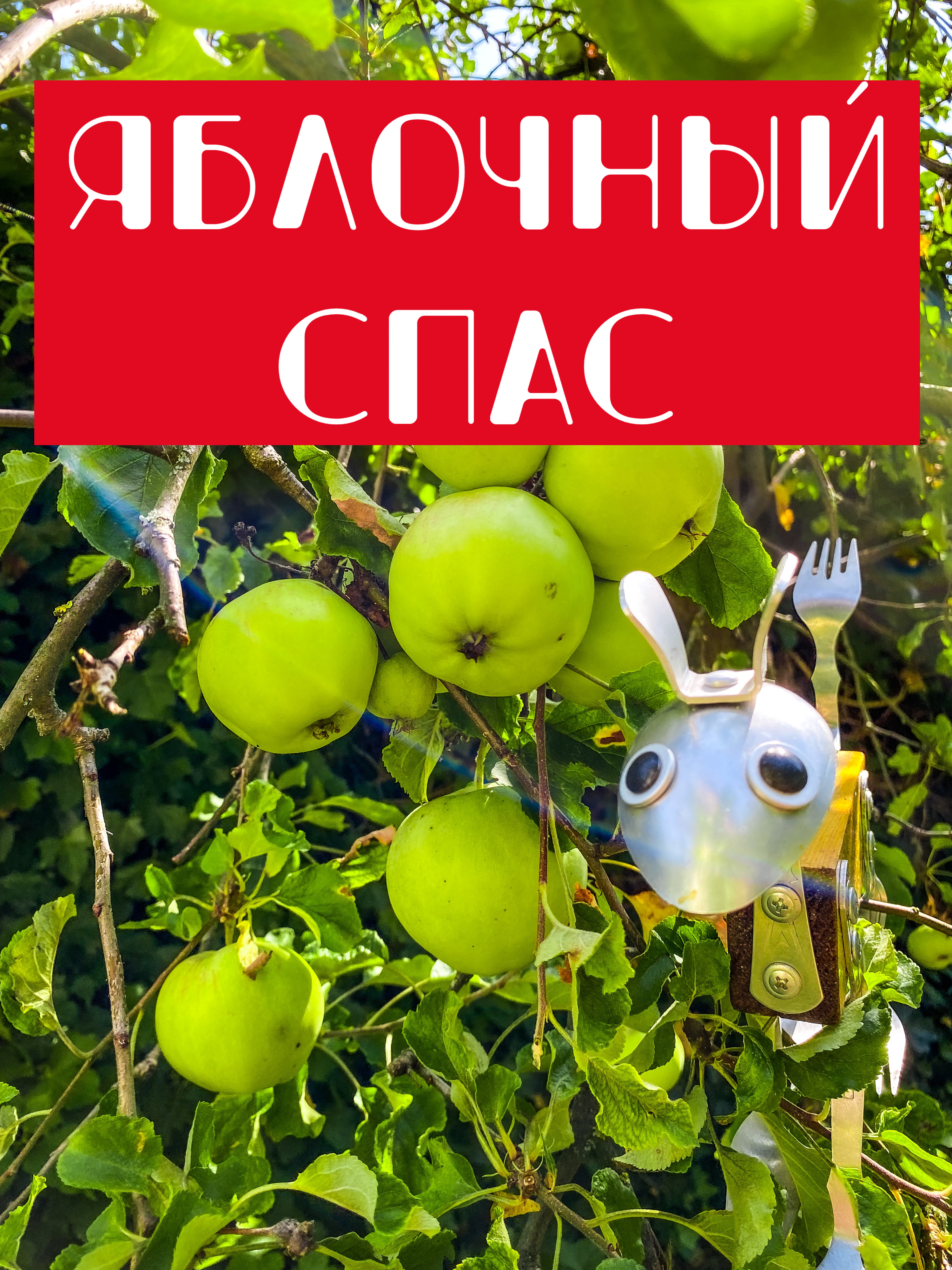19 августа - Яблочный спас!