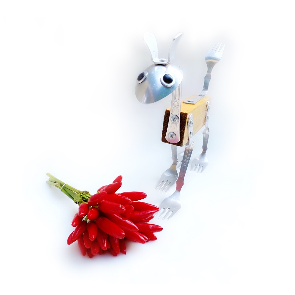 Вилконог и красный перец