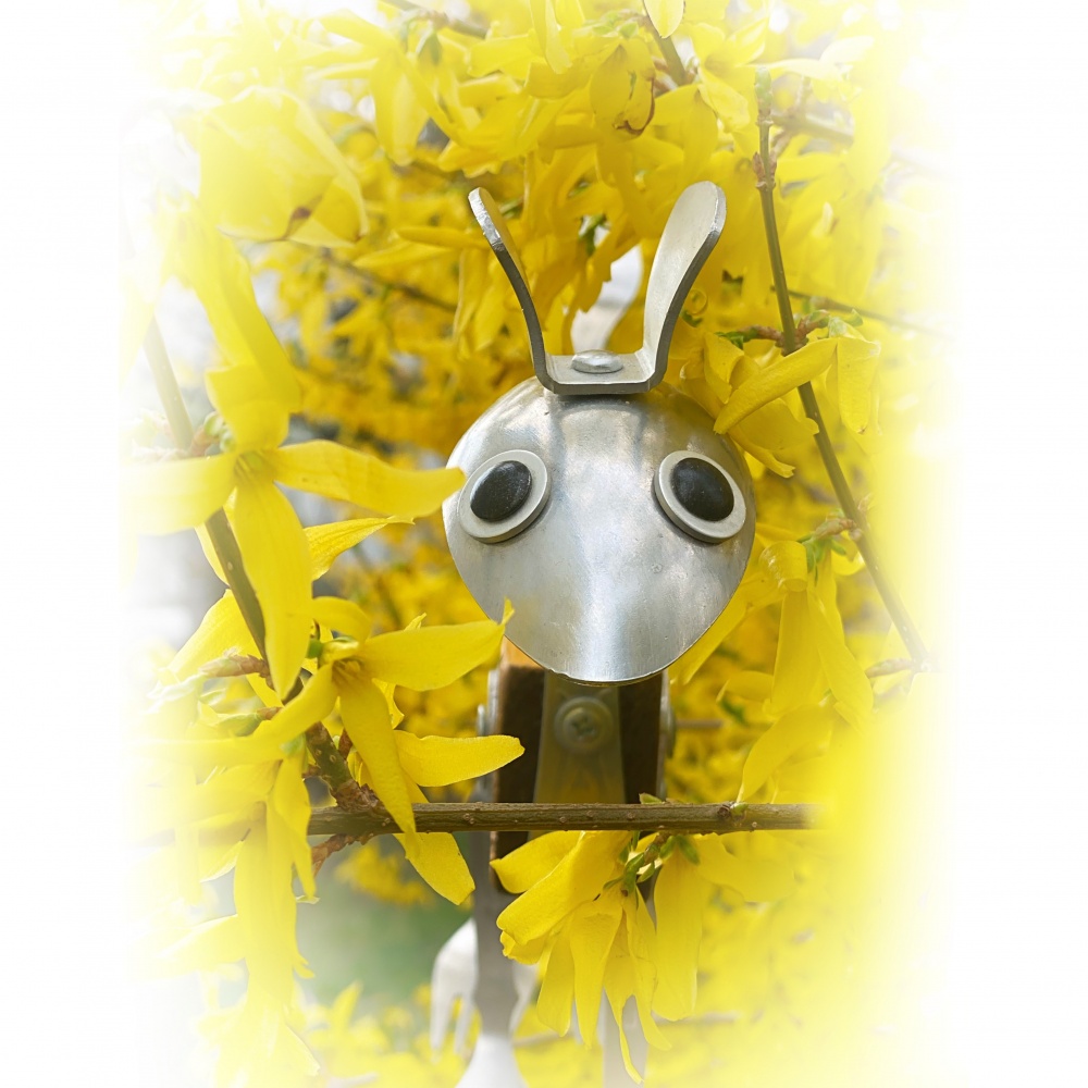 Вилконог и кулинарные хитрости